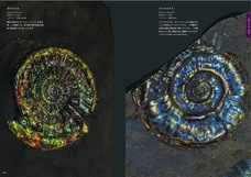 辰巳出版株式会社のプレスリリース画像4