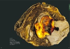 辰巳出版株式会社のプレスリリース画像5