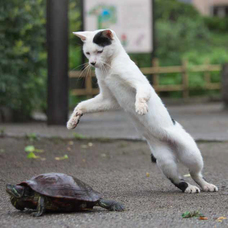 辰巳出版株式会社のプレスリリース画像3