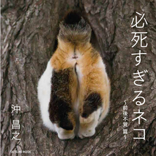 辰巳出版株式会社のプレスリリース画像2