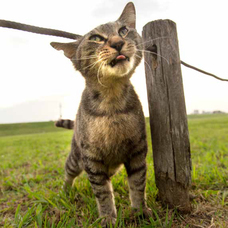 辰巳出版株式会社のプレスリリース画像6