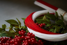 辰巳出版株式会社のプレスリリース画像4