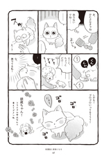 辰巳出版株式会社のプレスリリース画像8