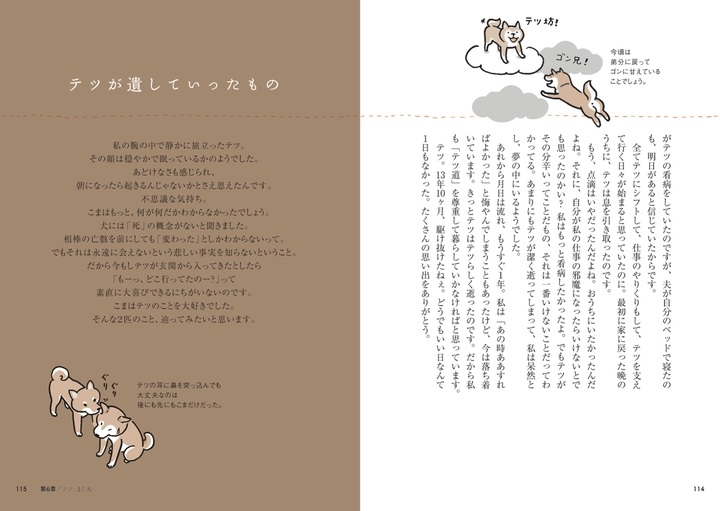 影山直美 会えてよかった 柴犬さんのツボ 書店購入特典でクリアファイルを配布中 辰巳出版株式会社のプレスリリース 影山直美 会えてよかった 柴犬さんのツボ 書店購入特典でクリアファイルを配布中 辰巳出版株式会社のプレスリリース