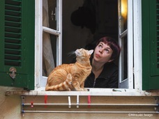 辰巳出版株式会社のプレスリリース画像3