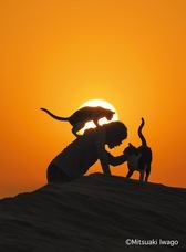 辰巳出版株式会社のプレスリリース画像4