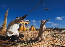 辰巳出版株式会社のプレスリリース画像2