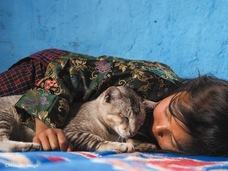 辰巳出版株式会社のプレスリリース画像5