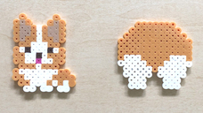 辰巳出版株式会社のプレスリリース画像4