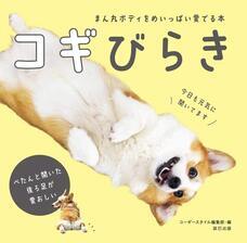 辰巳出版株式会社のプレスリリース画像3