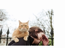 辰巳出版株式会社のプレスリリース画像7