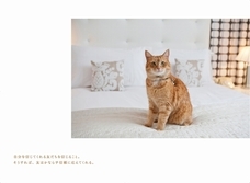 辰巳出版株式会社のプレスリリース画像5