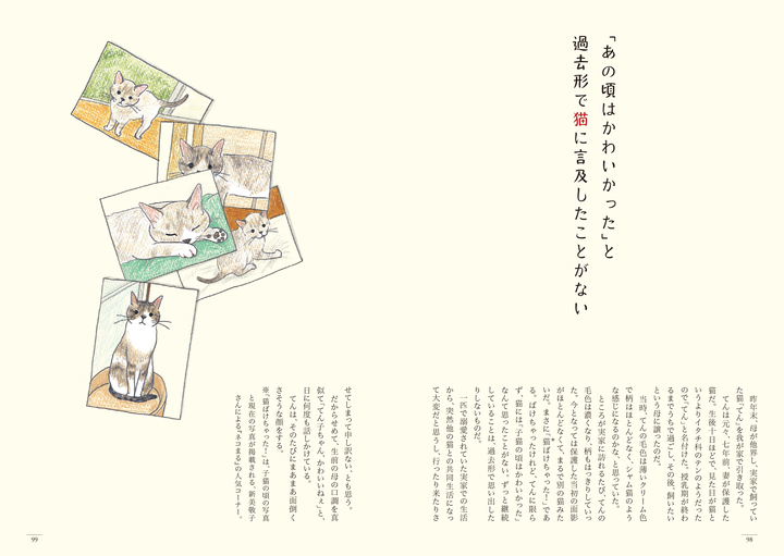 いい人と思われそうでも まあ いいや いまから猫のはなしをします 短歌 エッセイ イラスト 猫のいる家に帰りたい が6 24発売 辰巳出版株式会社のプレスリリース いい人と思われそうでも まあ いいや いまから猫のはなしをします 短歌 エッセイ イラスト 猫のいる家に帰りたい が6 24発売 辰巳出版株式会社のプレスリリース