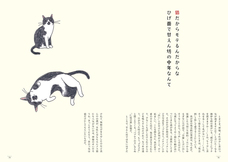 辰巳出版株式会社のプレスリリース画像5