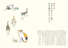 辰巳出版株式会社のプレスリリース画像2