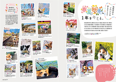 辰巳出版株式会社のプレスリリース画像2