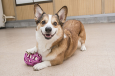 辰巳出版株式会社のプレスリリース画像8