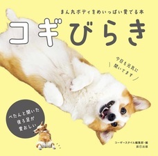 辰巳出版株式会社のプレスリリース画像5