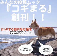 辰巳出版株式会社のプレスリリース画像3