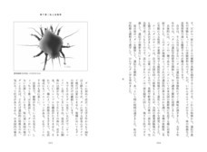 辰巳出版株式会社のプレスリリース画像7