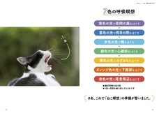 辰巳出版株式会社のプレスリリース画像8