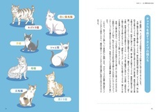 辰巳出版株式会社のプレスリリース画像3