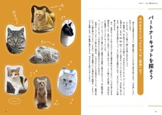 辰巳出版株式会社のプレスリリース画像4