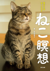 辰巳出版株式会社のプレスリリース画像10