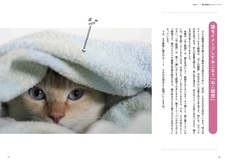 辰巳出版株式会社のプレスリリース画像5