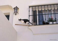 辰巳出版株式会社のプレスリリース画像5