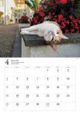 辰巳出版株式会社のプレスリリース画像2