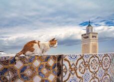 辰巳出版株式会社のプレスリリース画像6