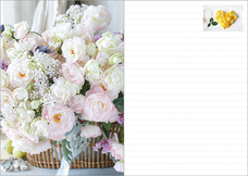 辰巳出版株式会社のプレスリリース画像8