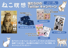 辰巳出版株式会社のプレスリリース画像3