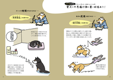 辰巳出版株式会社のプレスリリース画像5