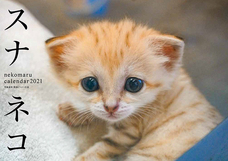 辰巳出版株式会社のプレスリリース画像7