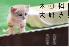 辰巳出版株式会社のプレスリリース画像2