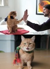 辰巳出版株式会社のプレスリリース画像2