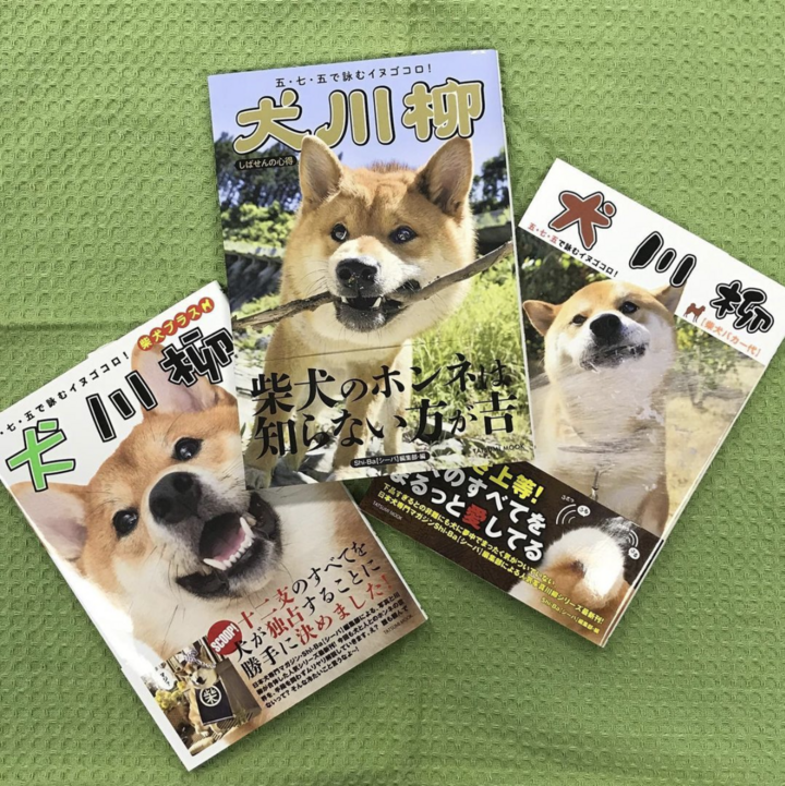影山直美の新刊でsnsキャンペーン開催 プレゼントはとってもレアな描き下ろしサイン色紙 辰巳出版株式会社のプレスリリース 影山直美の新刊でsnsキャンペーン開催 プレゼントはとってもレアな描き下ろしサイン色紙 辰巳出版株式会社のプレスリリース