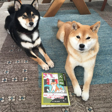 辰巳出版株式会社のプレスリリース画像6