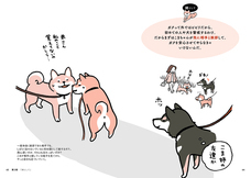 辰巳出版株式会社のプレスリリース画像5