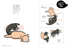 辰巳出版株式会社のプレスリリース画像3