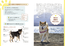 辰巳出版株式会社のプレスリリース画像1