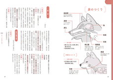 辰巳出版株式会社のプレスリリース画像2