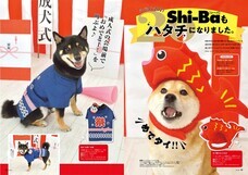 辰巳出版株式会社のプレスリリース画像3