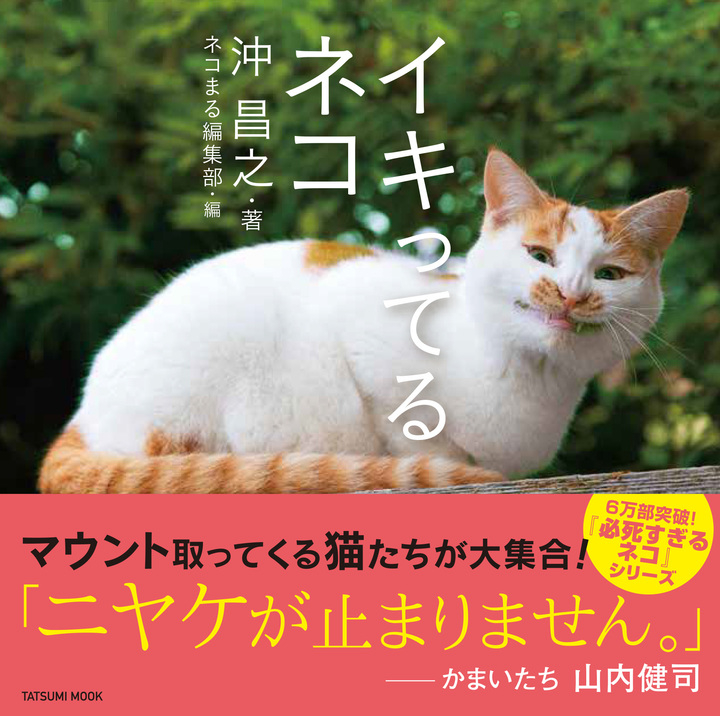 かまいたち山内健司さんもニンマリ マウント取ってくる猫たち が勢ぞろいの猫写真集 イキってるネコ 著 沖昌之 が8月2日に発売 辰巳出版株式会社のプレスリリース かまいたち山内健司さんもニンマリ マウント取ってくる猫たち が勢ぞろいの猫写真集 イキってるネコ 著 沖昌之 が8月2日に発売 辰巳出版株式会社のプレスリリース