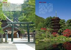 辰巳出版株式会社のプレスリリース画像3