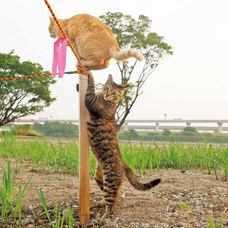 辰巳出版株式会社のプレスリリース画像3