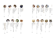 辰巳出版株式会社のプレスリリース画像2