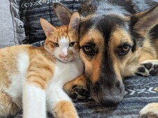 辰巳出版株式会社のプレスリリース画像3